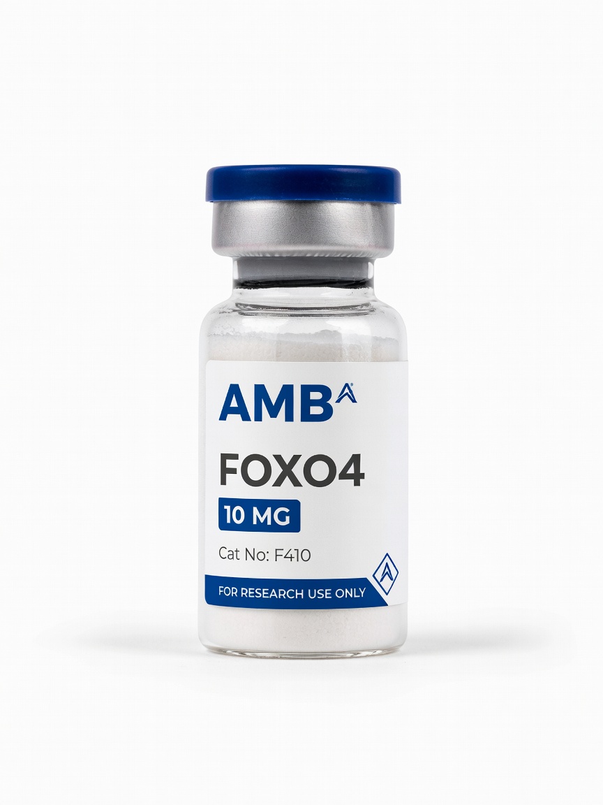 FOXO4